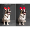 Laden Sie das Bild in den Galerie-Viewer, Personalisiertes Malen nach Zahlen dein eigenes Foto, ein persönliches Bild von einem lustigen Hund, der rote Plüschgeweihe auf dem Kopf trägt. Vorher Nachher.